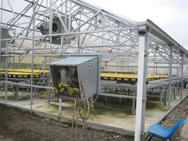 Greenhouse With no Walls