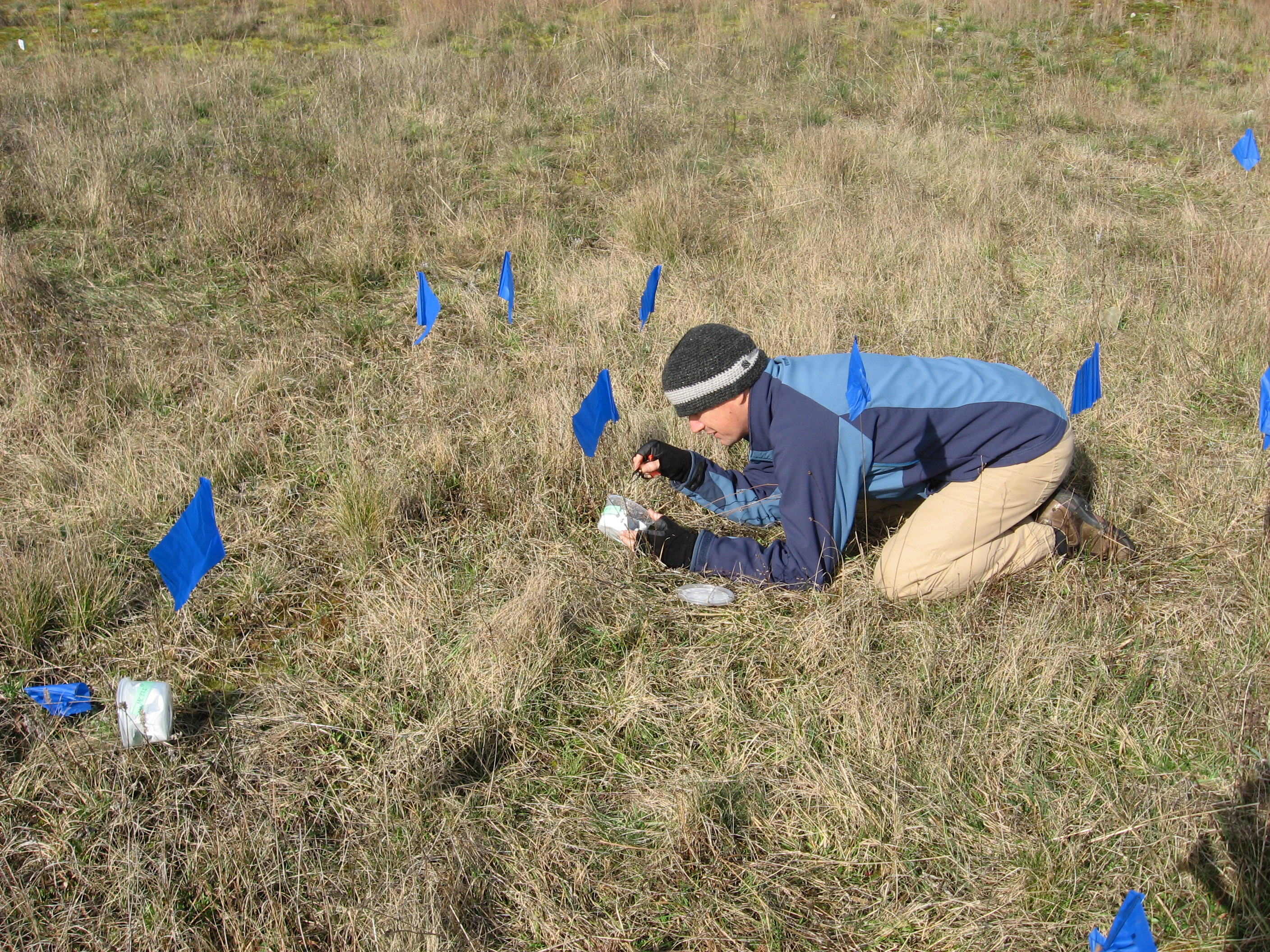 SPP Graduate Research Assistant Dennis Aubrey helping caterpillars find new homes