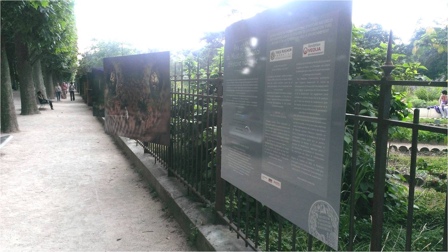 02 - tree-lined path with posters along fence