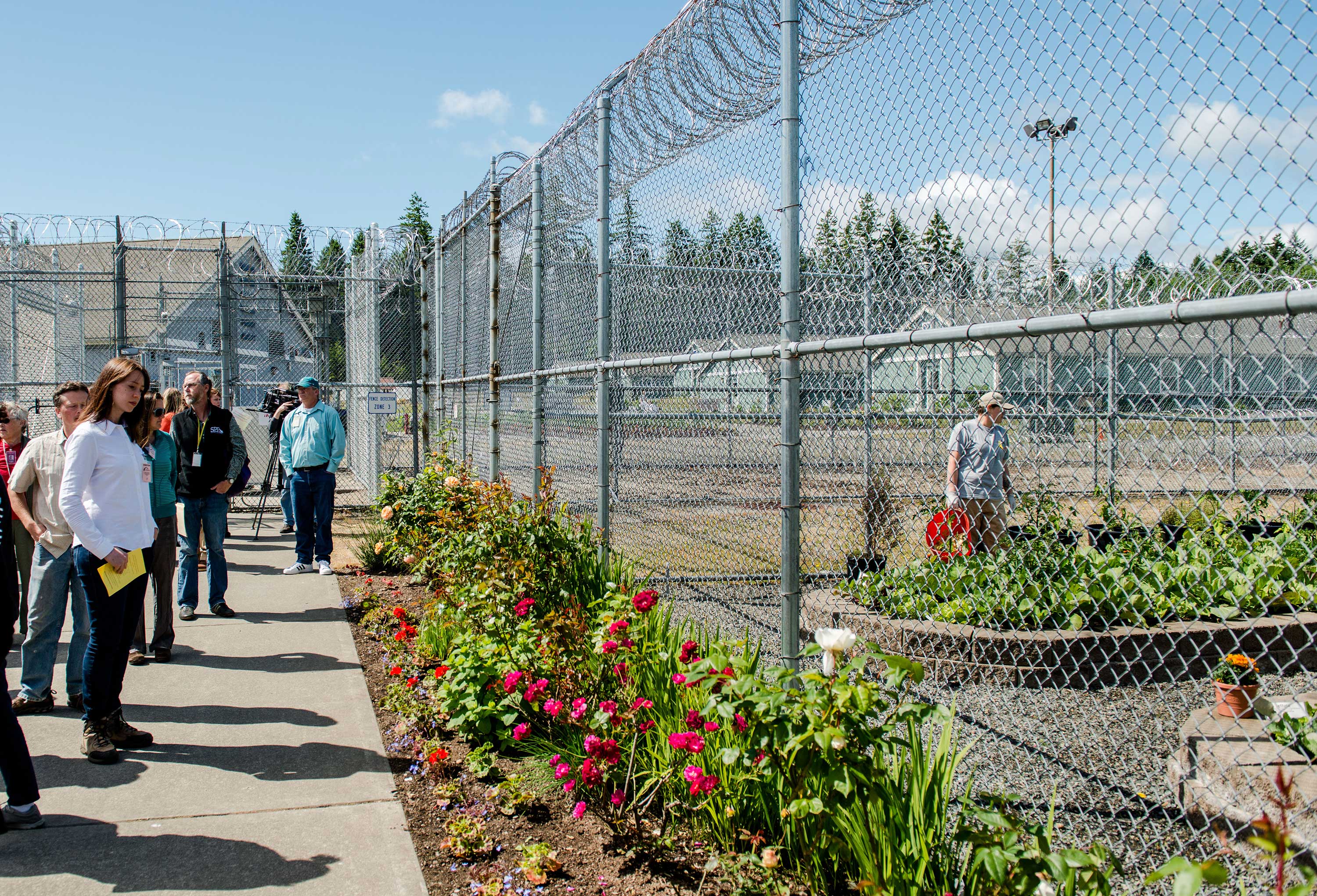 Audrey Lamb, Ecological Conservation Assistant at the Center for Natural Lands Management, regards gardens in the close custody area of WCCW