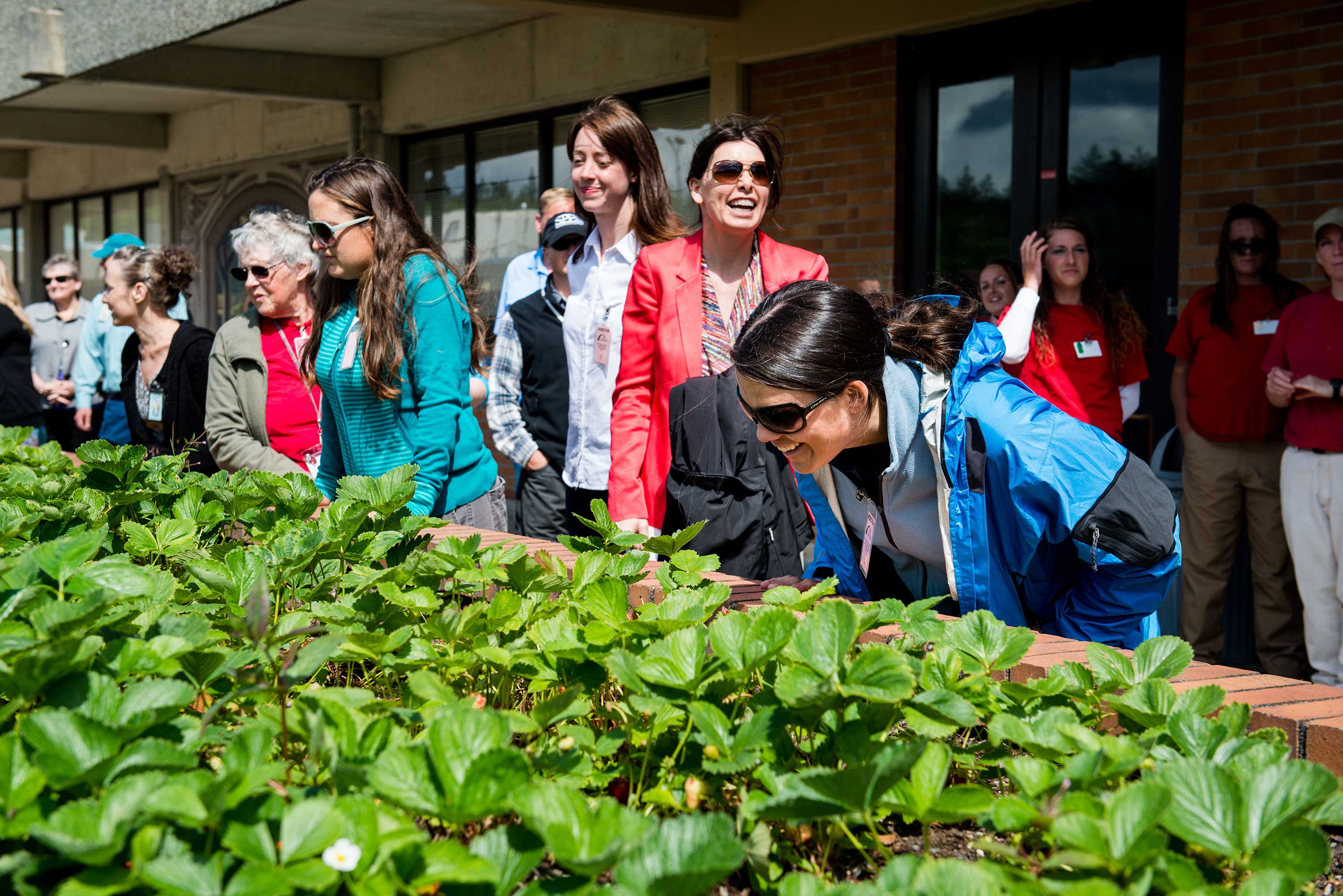 Enjoying the strawberry beds at WCCW