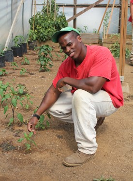 Inmate-in-tomato-house