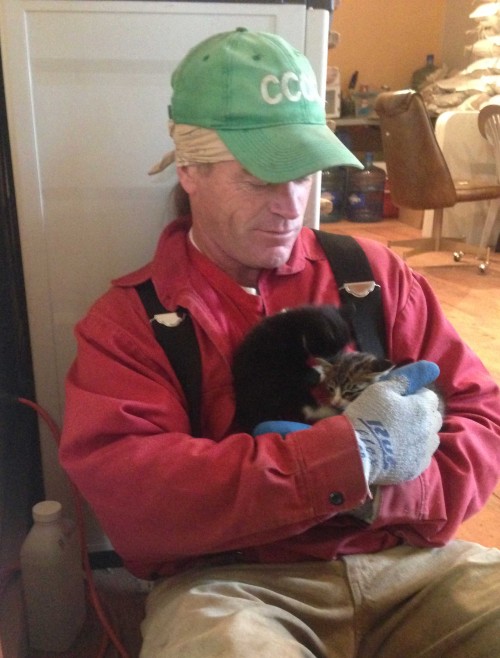 kittens-at-Shotwells-3