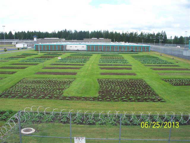 wcc-fields-3