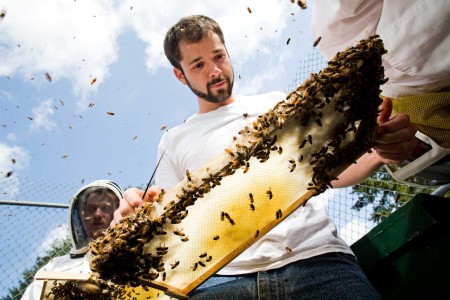 Entomologist Sam Hapke from The Evergreen State College works with an inmate technician in the beekeeping programming at Stafford Creek Corrections Center. Photo from 2009 by Benj Drummond.