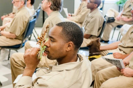 As the author says, smelling something green can be a rare delight for those incarcerated; this image from a 2012 lecture at Stafford Creek Corrections Center. Photo by Shauna Bittle.