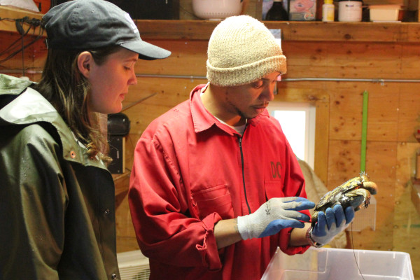 Jamar Glenn studies a turtle after a trip to the vet; both he and SPP's Graduate Research Assistant Fiona Edwards (left) helped build the prison's facility for the turtles.