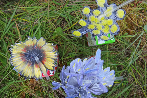 SPP's offering for those who would like to be Taylor's checkerspot butterflies: native flowers atop juice boxes.
