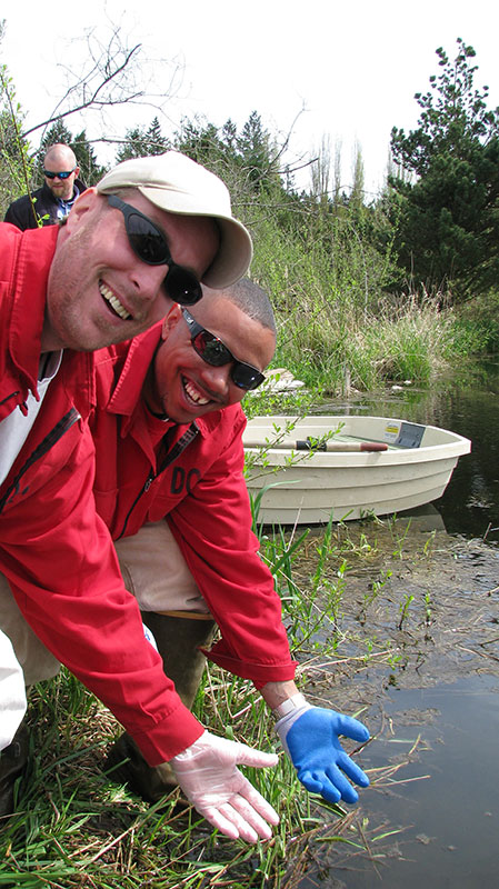 turtle-release-blog4