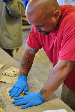 A crew member scarifies (scratches the seed coat of) American vetch seed prior to sowing; this was done as a comparison study with unscarified seed.