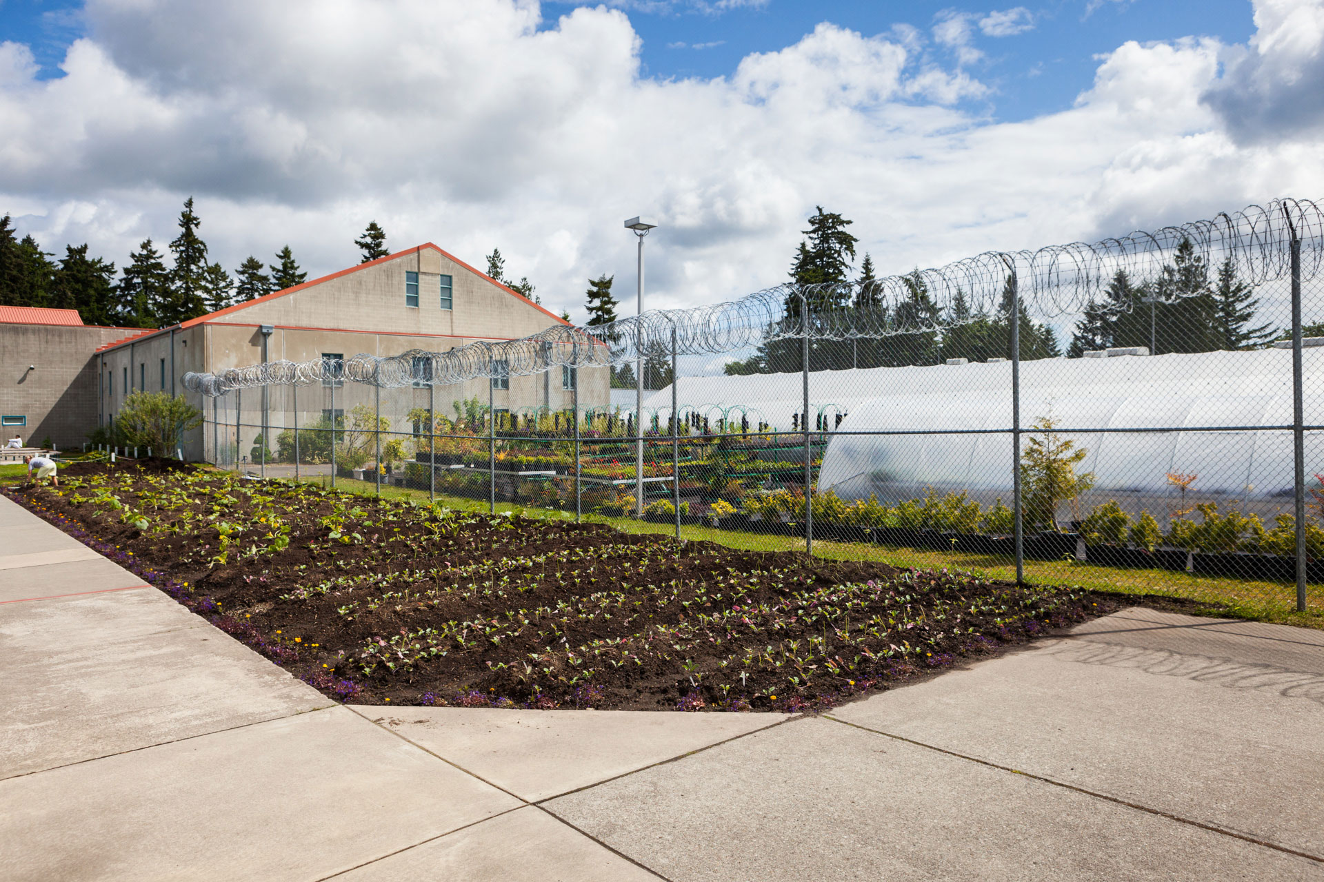 Gardens at WCCW.