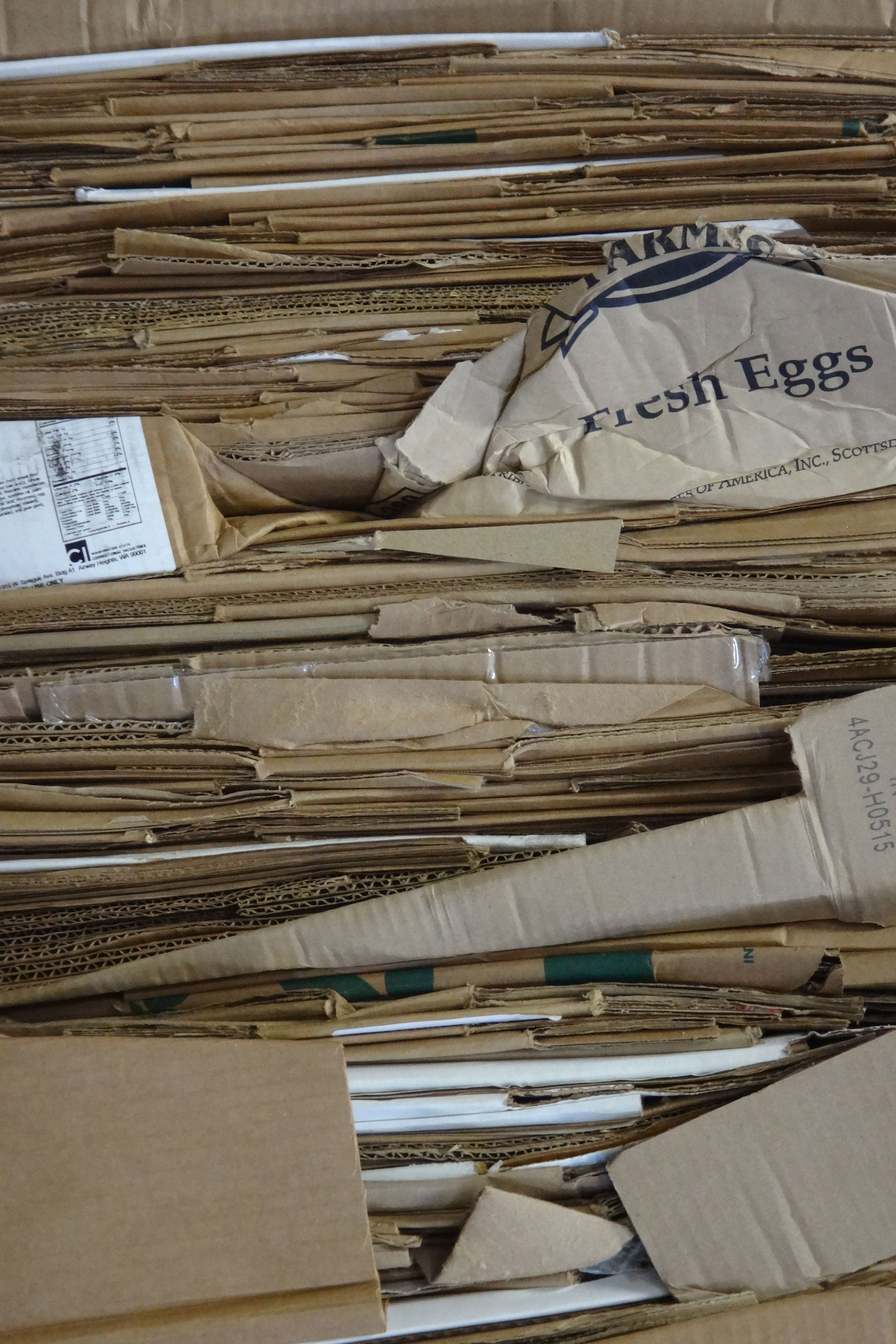 1primo-sorted-cardboard