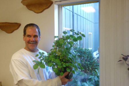 House-plant-pilot-at-Larch-1