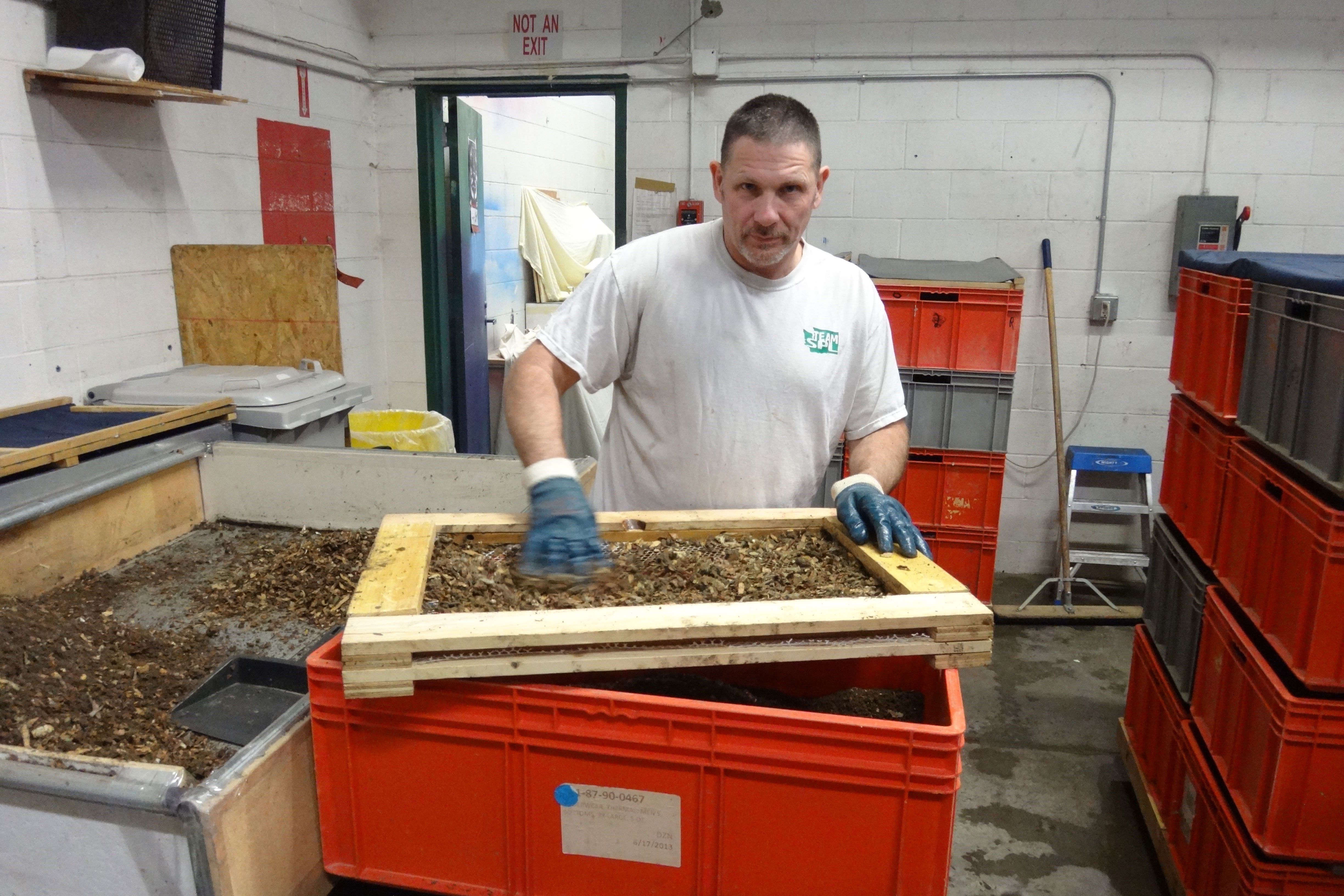 vermicomposting-sifting