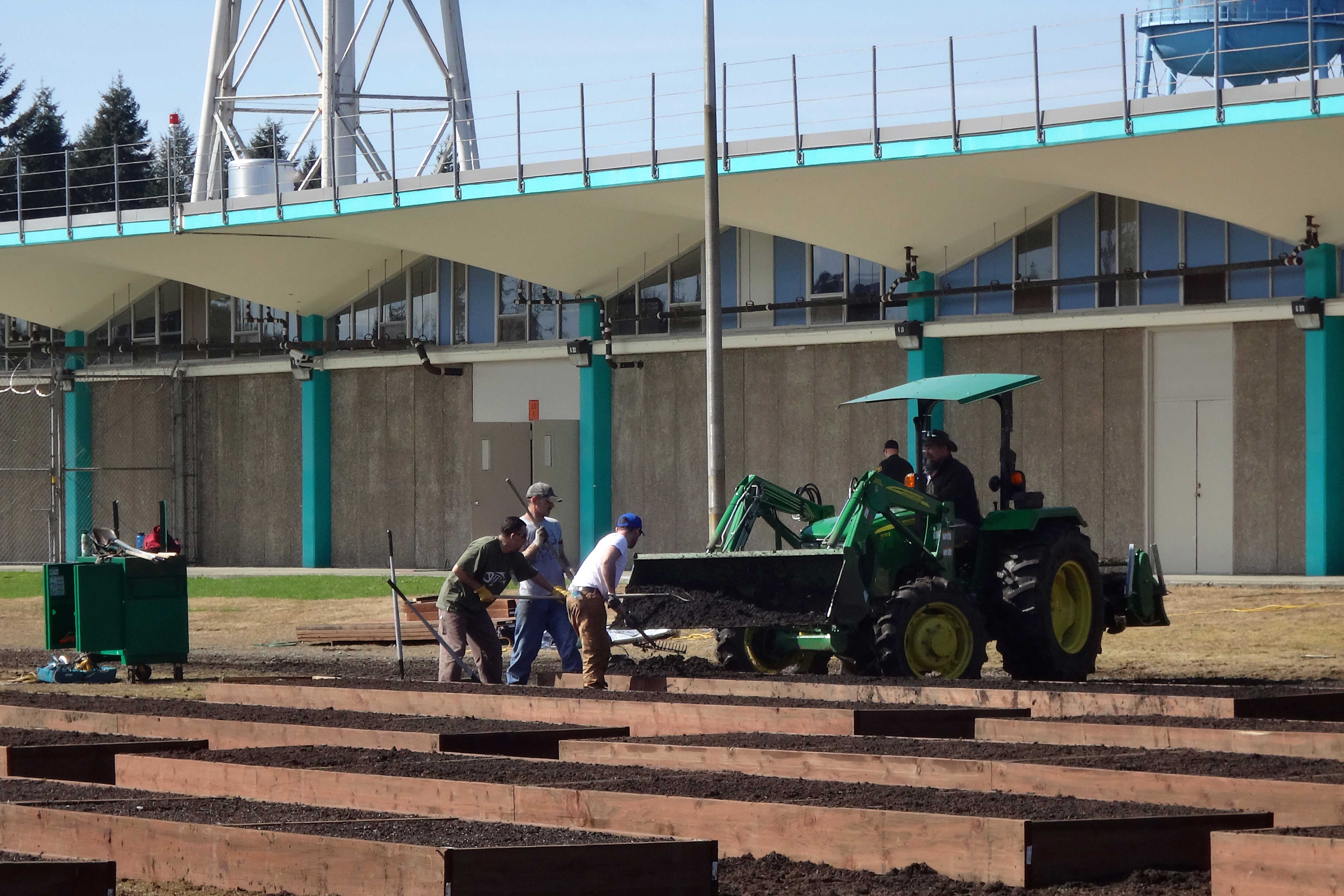 A tractor fills the final bed with soil.