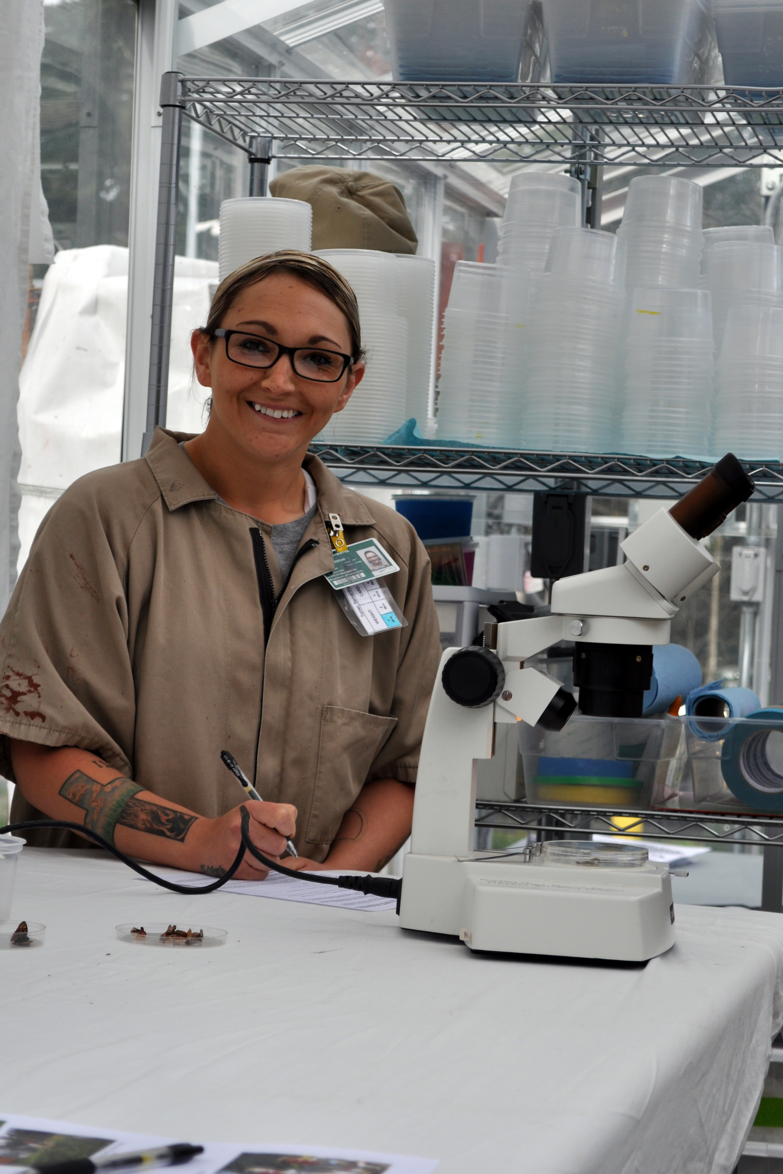 Samantha is diligently taking notes in order to track each individual butterfly through it's transformation. Photo by Jody Becker-Green.