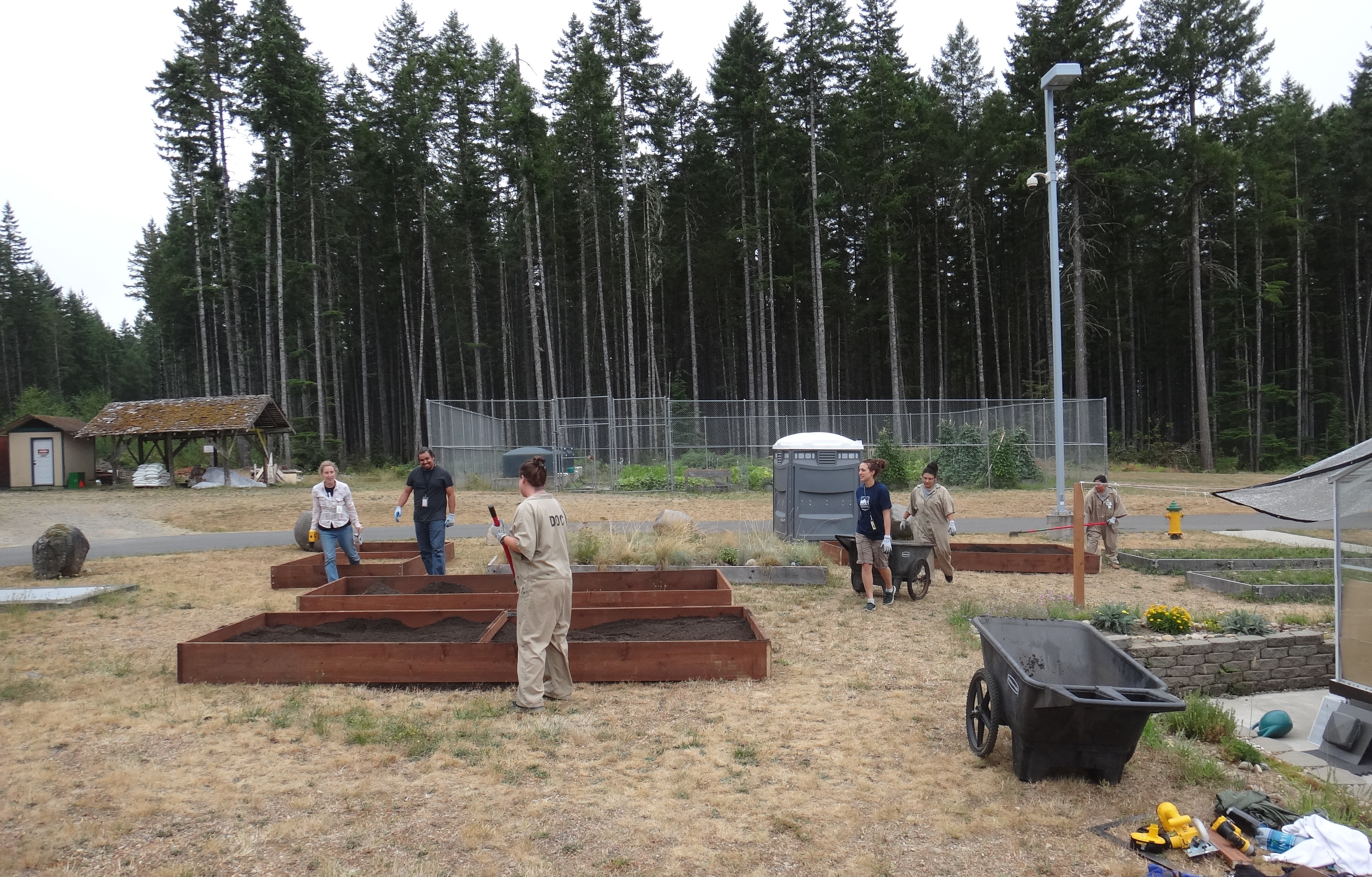 SPP student-staff and butterfly technicians at MCCCW install four new raise beds to grow Plantago, food for the butterfly larvae.
