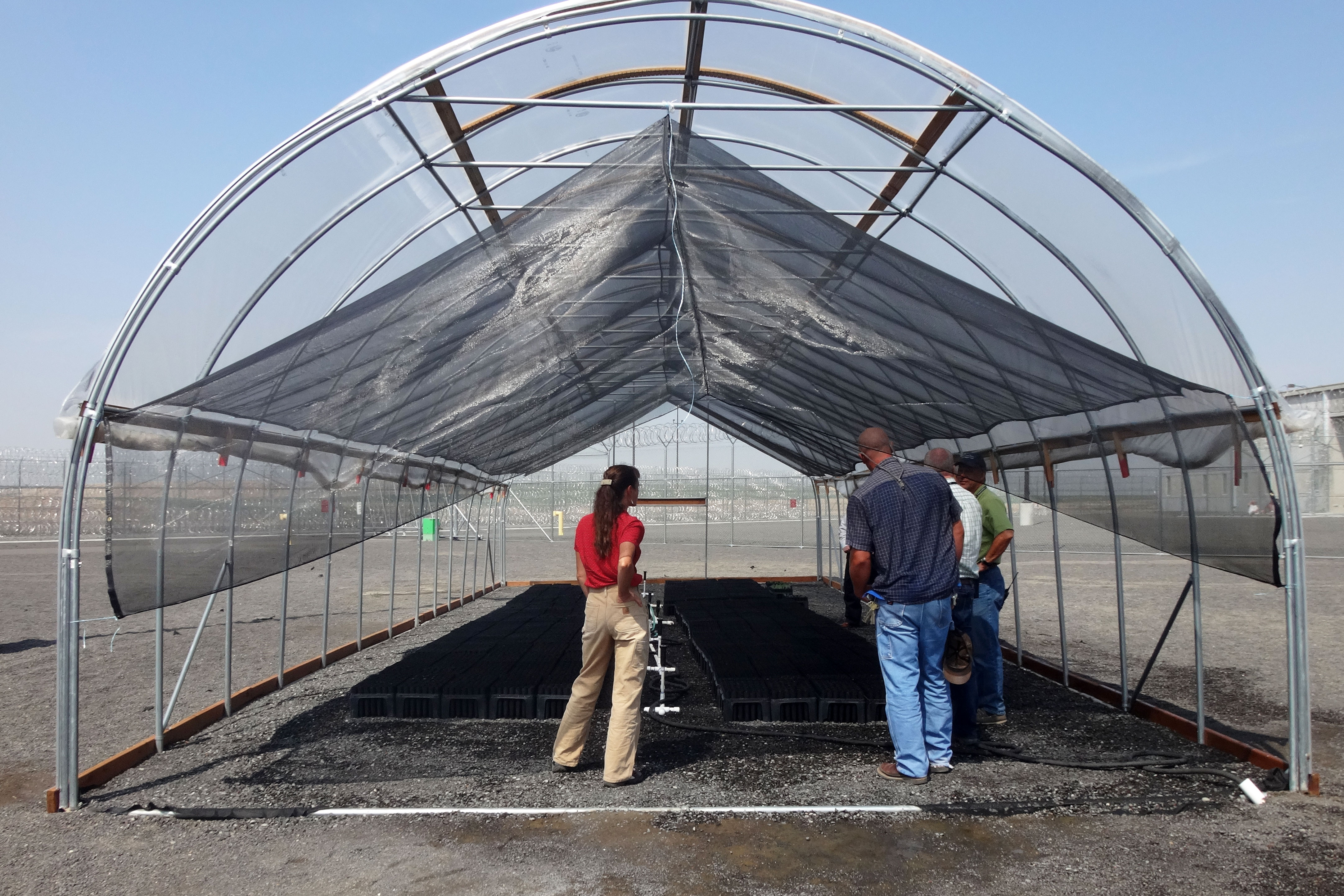 Hoop-house-shot-Kellis-photos-057