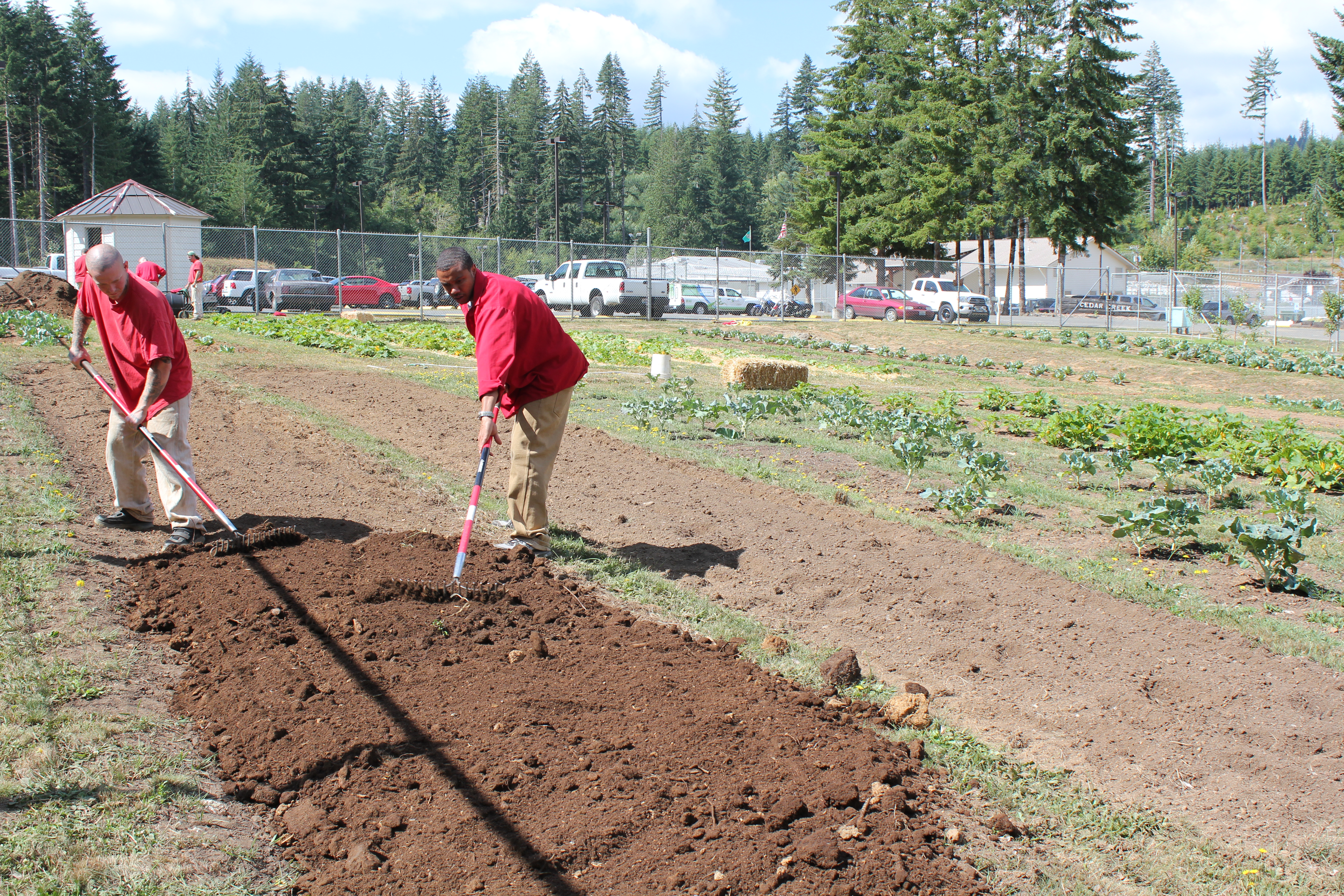 Adding Cedar Creek Compost to the Soil. Photo by SPP Staff.