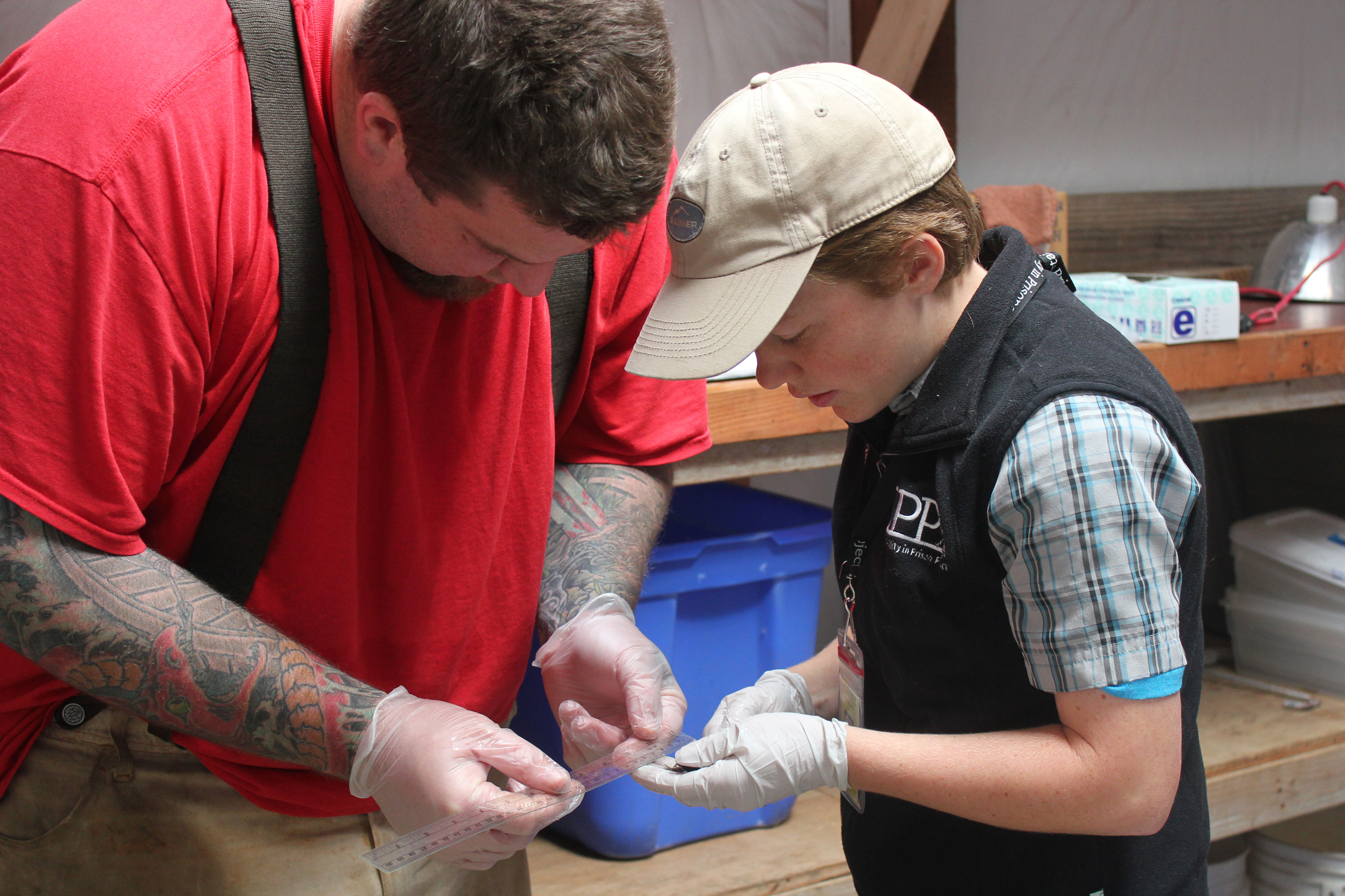 Boysen-Learning-How-to-Measure-Frogs