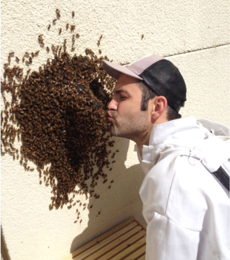 WSP-bee-kiss