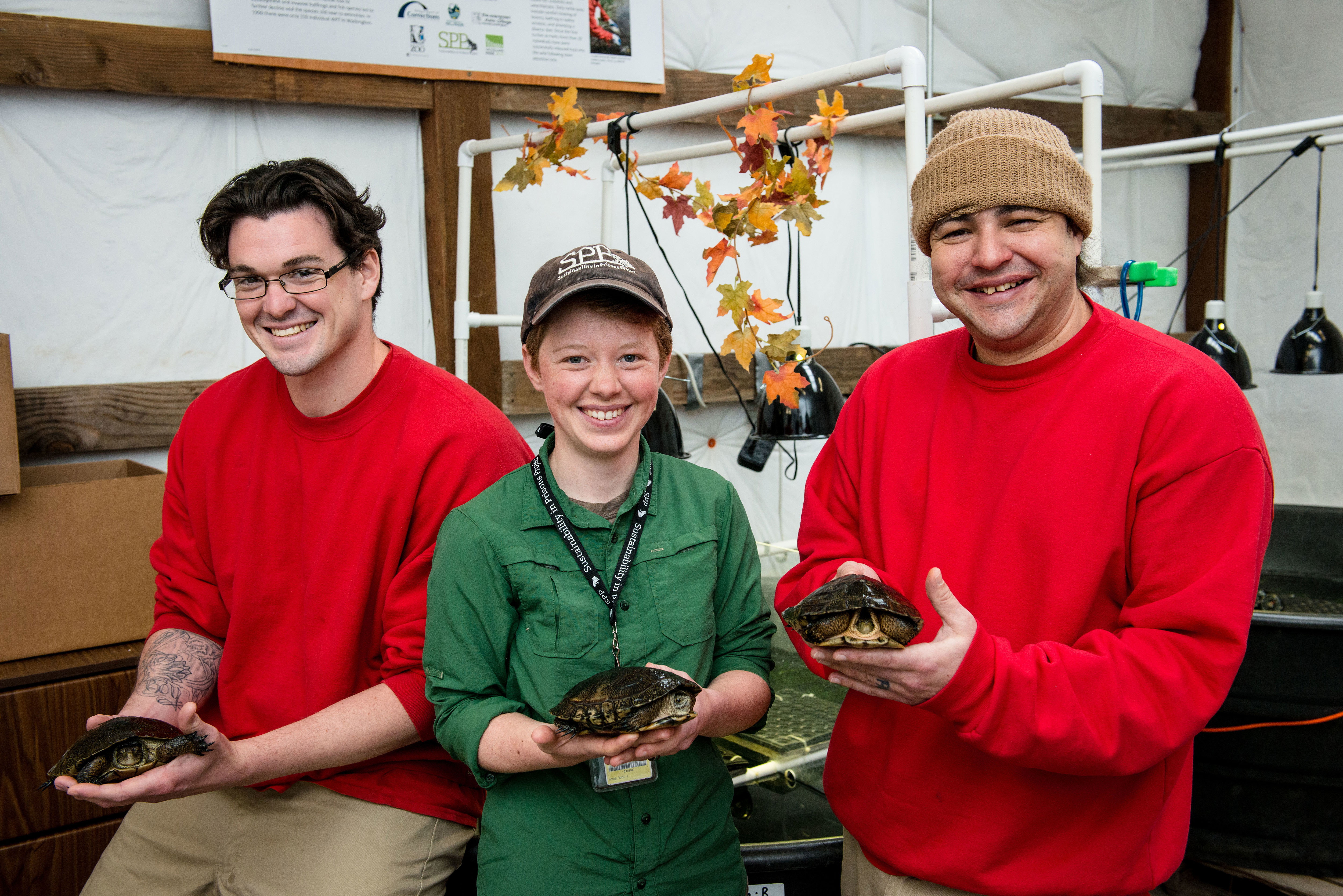 Technician Hufferd-Oulette, SPP Coordinator Sadie Gilliom and Technician Anglemyer pose with turtles getting ready for release. Photo by Shauna Bittle, Photographer for The Evergreen State College