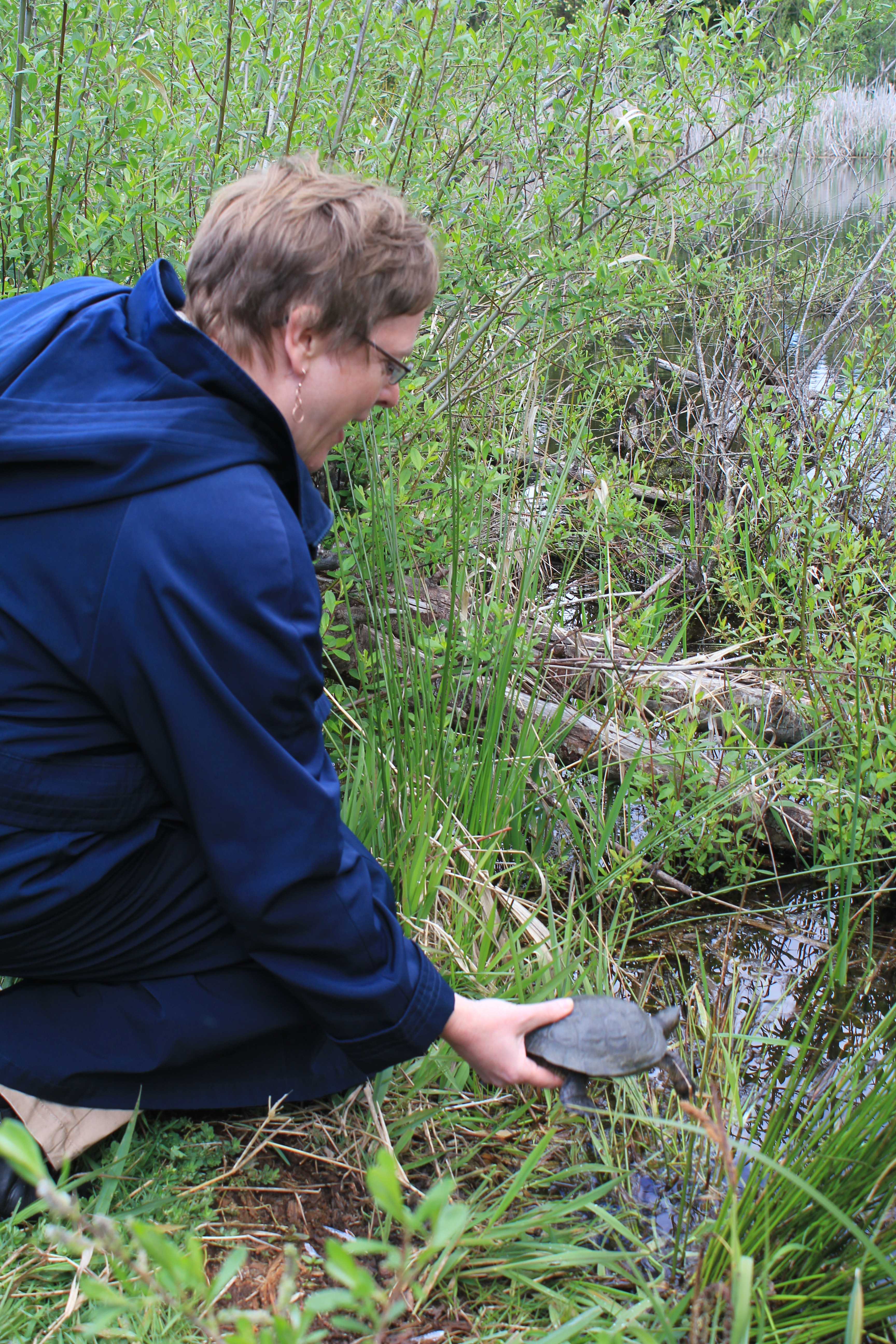 Deputy Secretary, Jodi Becker-Green releasing her turtle. Photo by SPP manager Kelli Bush