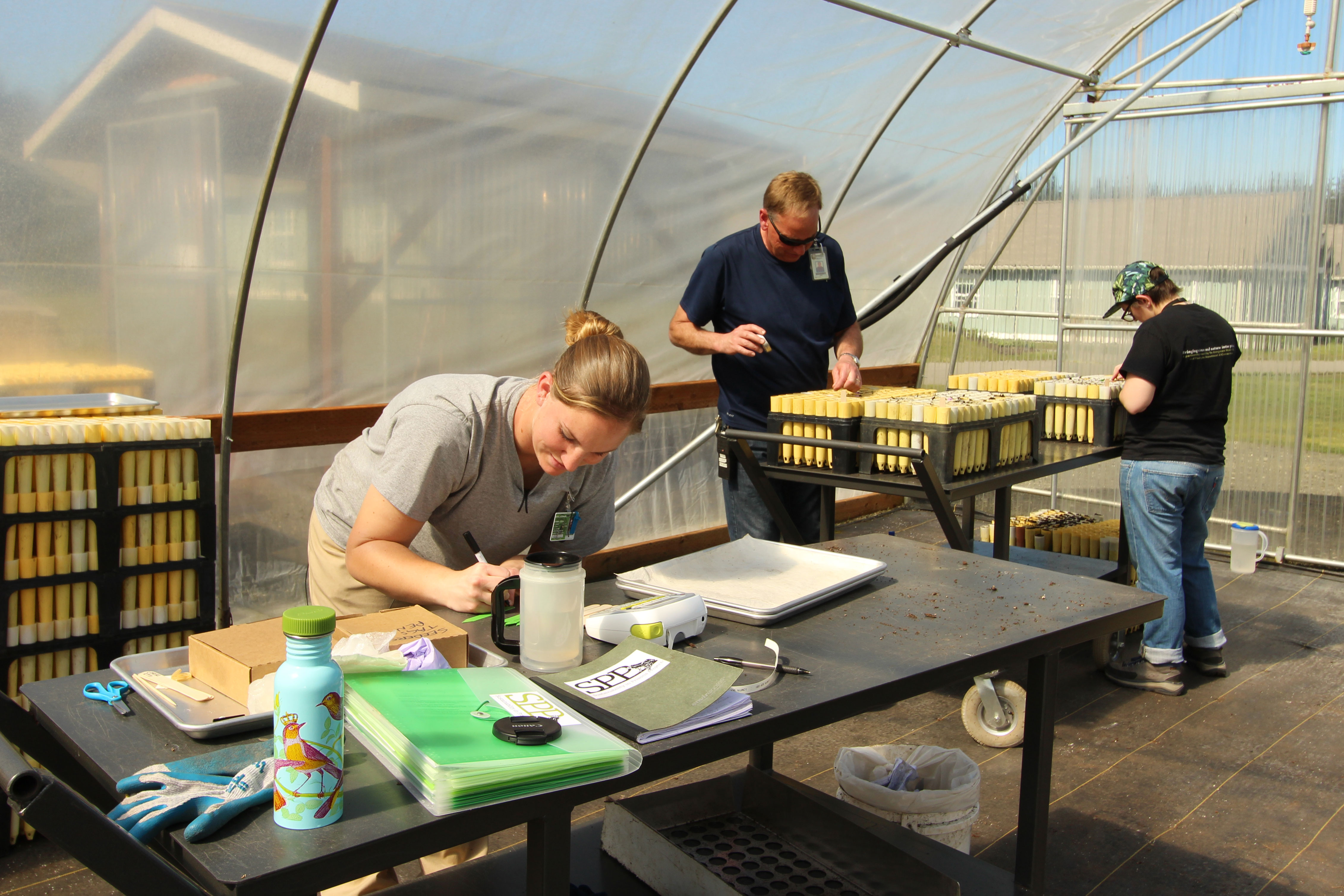Ecological Conservation technicians Stephanie Boyle makes tags to label seed lots sown. 
