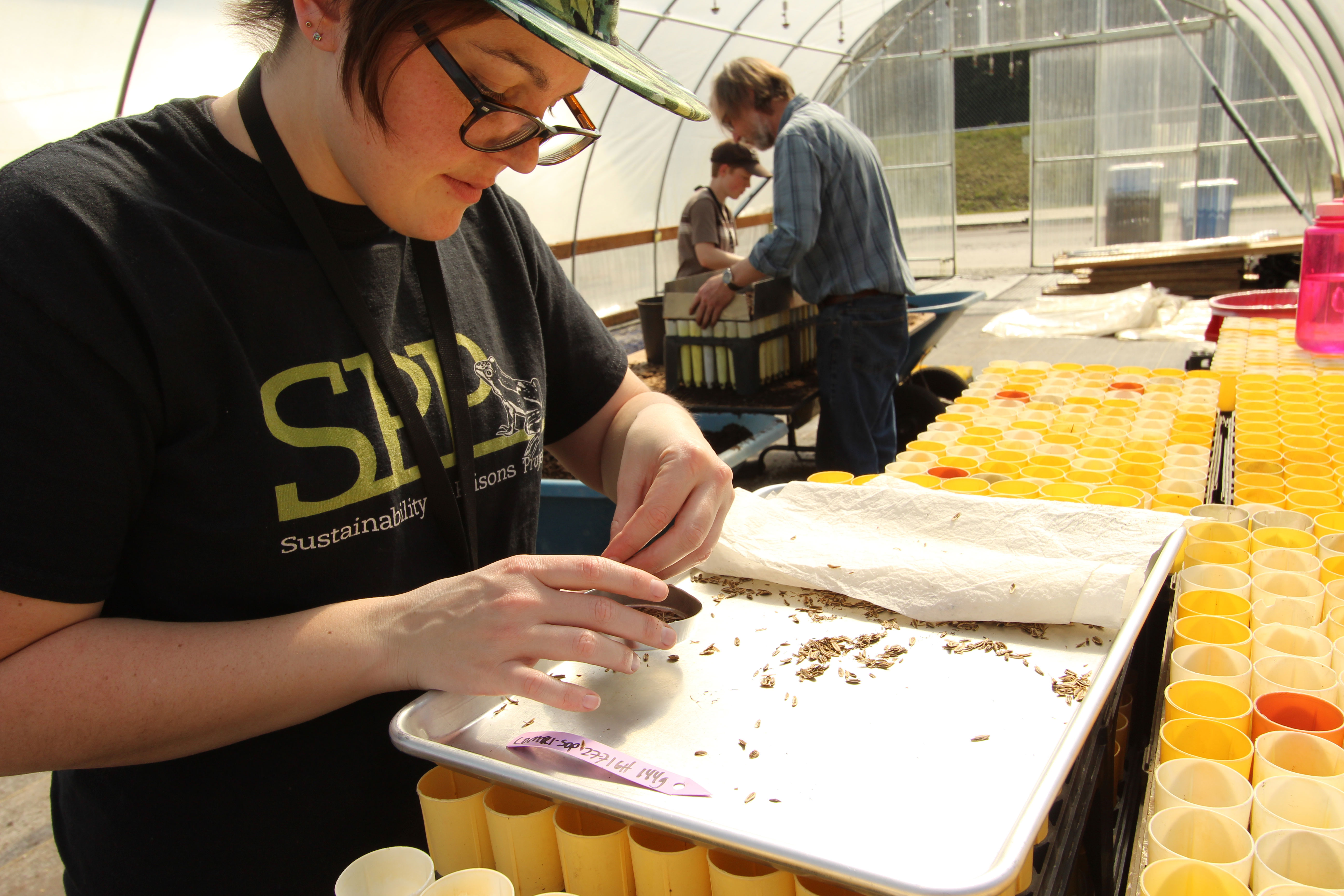 work-party,-spp-staff