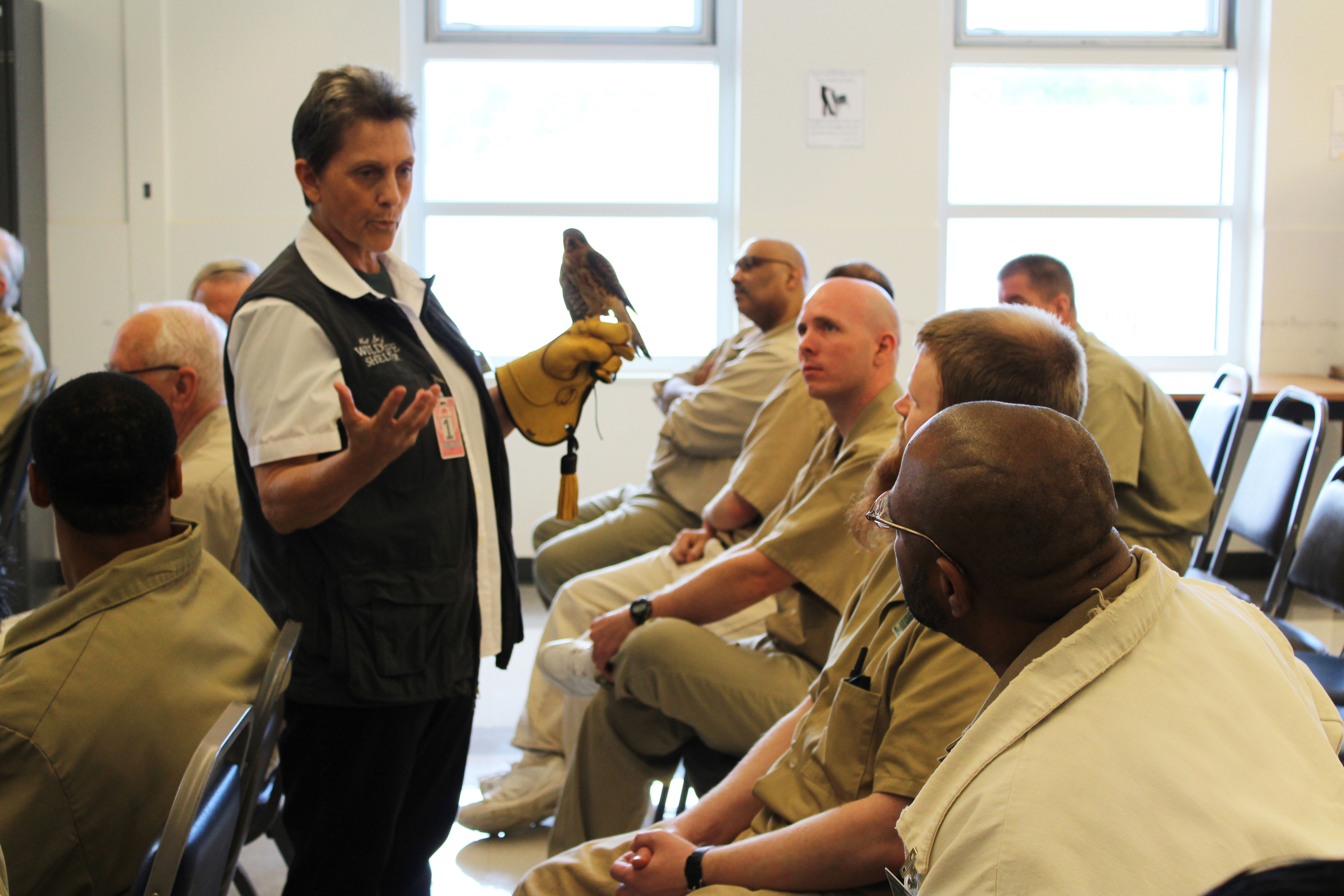 kestrel-and-students