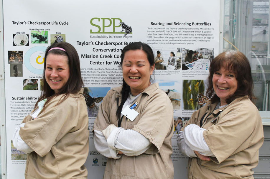 3-butterfly-techs-and-poster