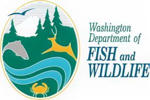 Washington Department