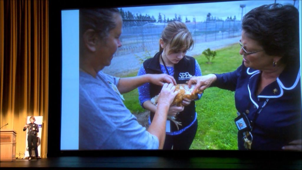 Worldwatch Institute: Sustainability education in prisons