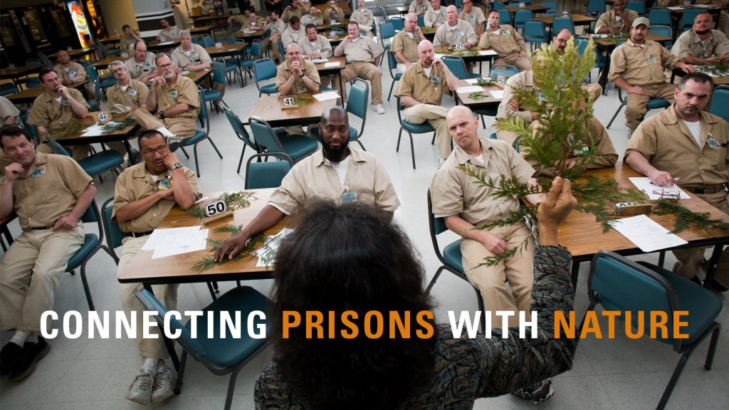 SPP: Connecting prisons and nature