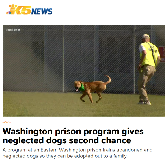 KING 5 News: Washington prison program gives neglected dogs second chance