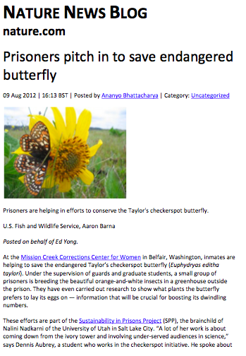 Prisoners pitch in to save endangered butterfly
