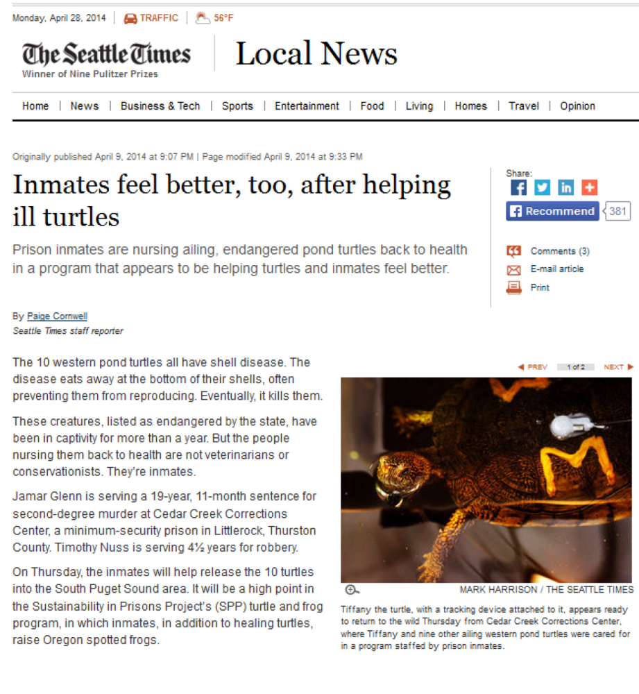 Seattle Times: Inmates feel better, too, after helping ill turtles