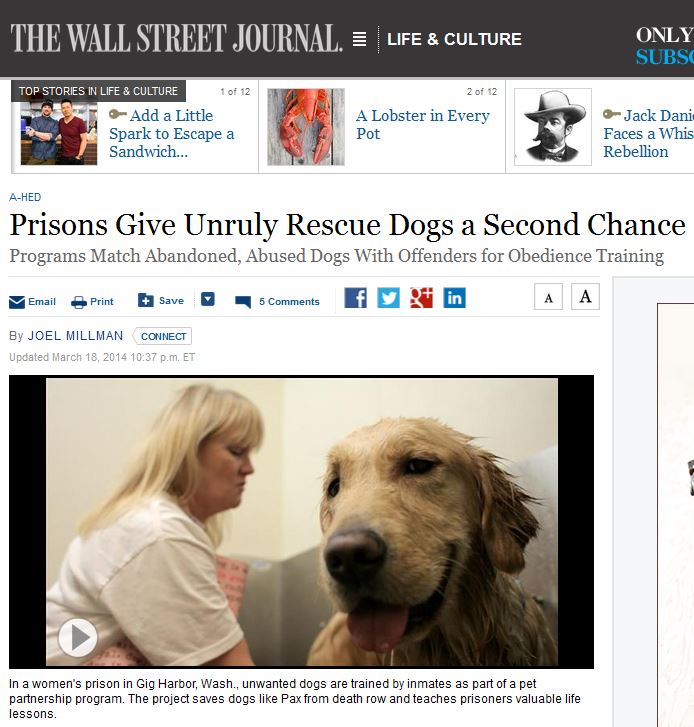 Wall Street Journal: Prisons Give Unruly Rescue Dogs a Second Chance