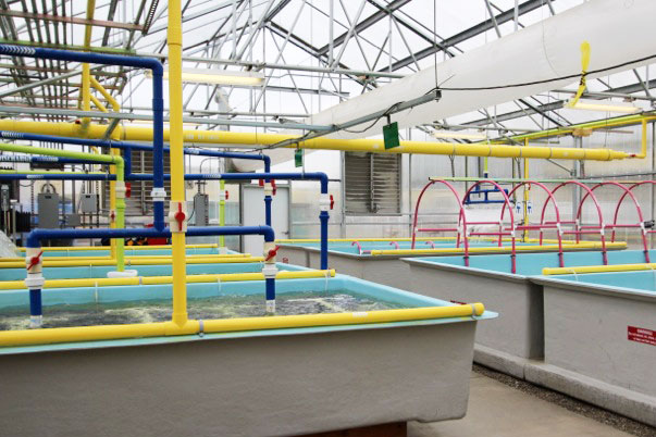 full-flow-system_pipes
